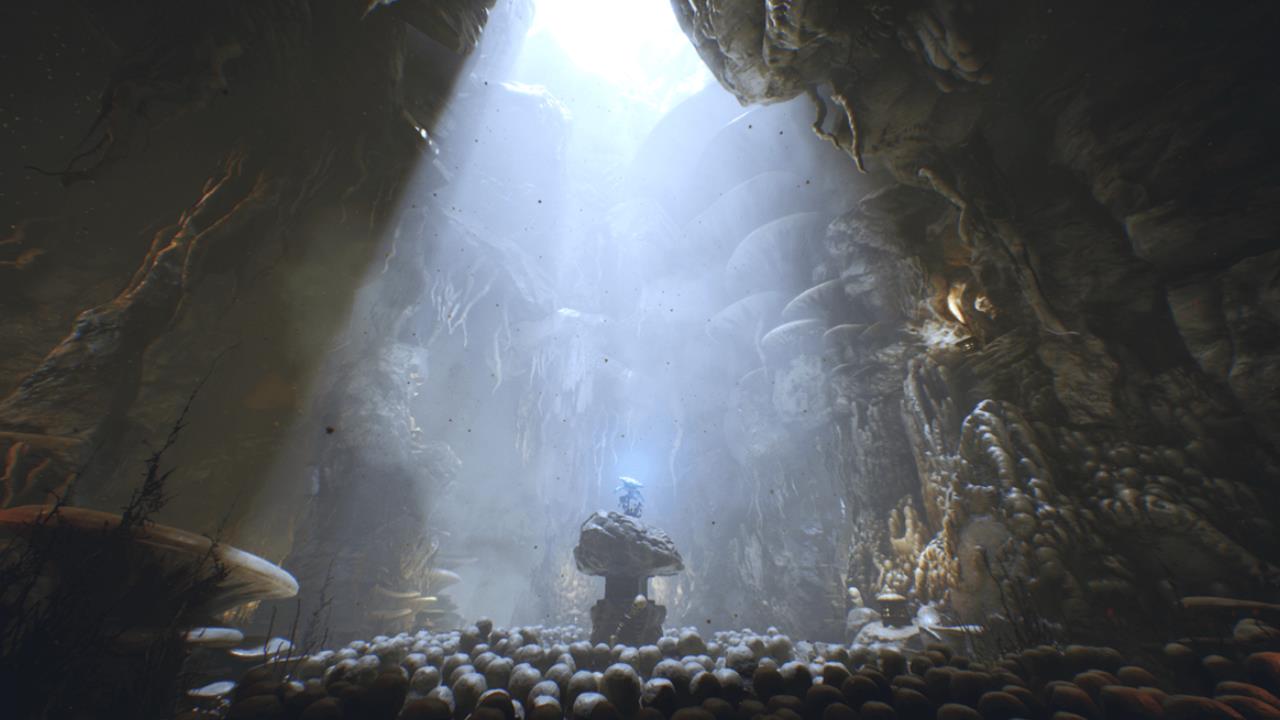 Deep Elder Caves古老神秘山洞洞穴宝藏骷髅场景