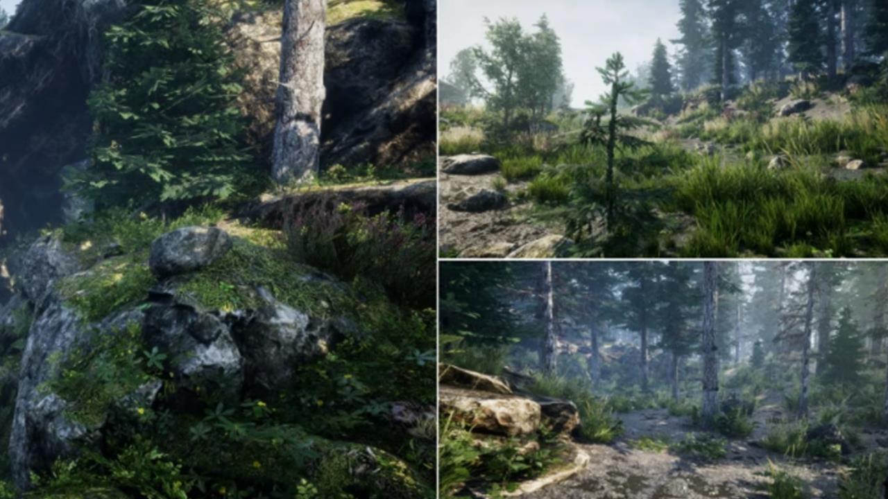 Environment Set森林树林草原植物植被树木场景