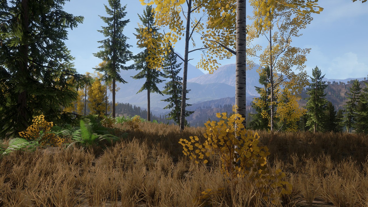 Realistic Forest Pack逼真的森林包