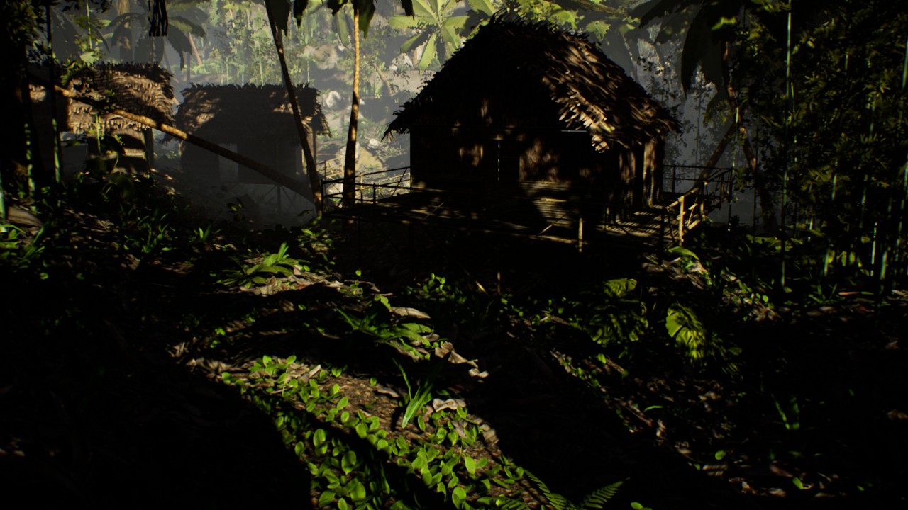 Low Poly Rain forest地面多边形雨林