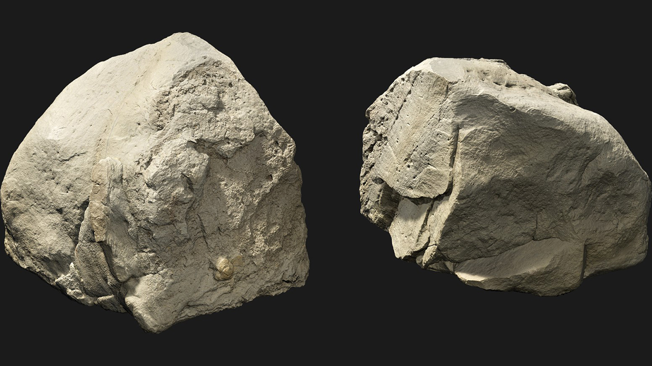 扫描资产_石头660