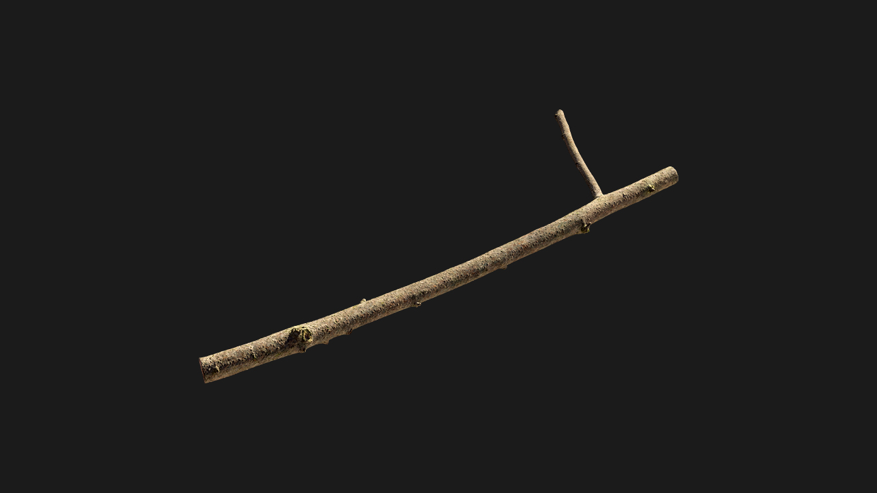 扫描资产_树枝树干010