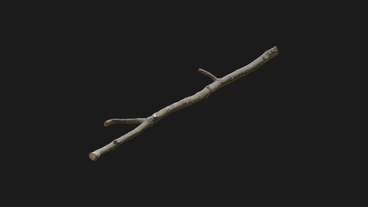 扫描资产_树枝树干011