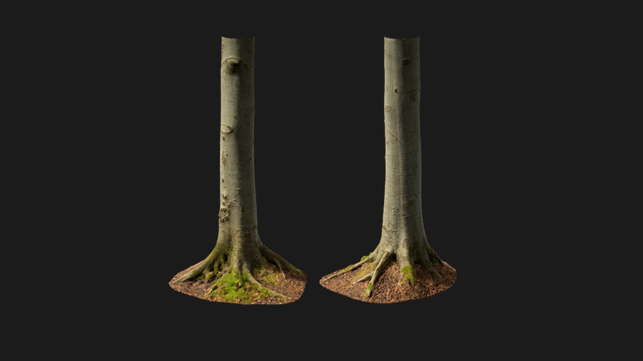 扫描资产_树干050