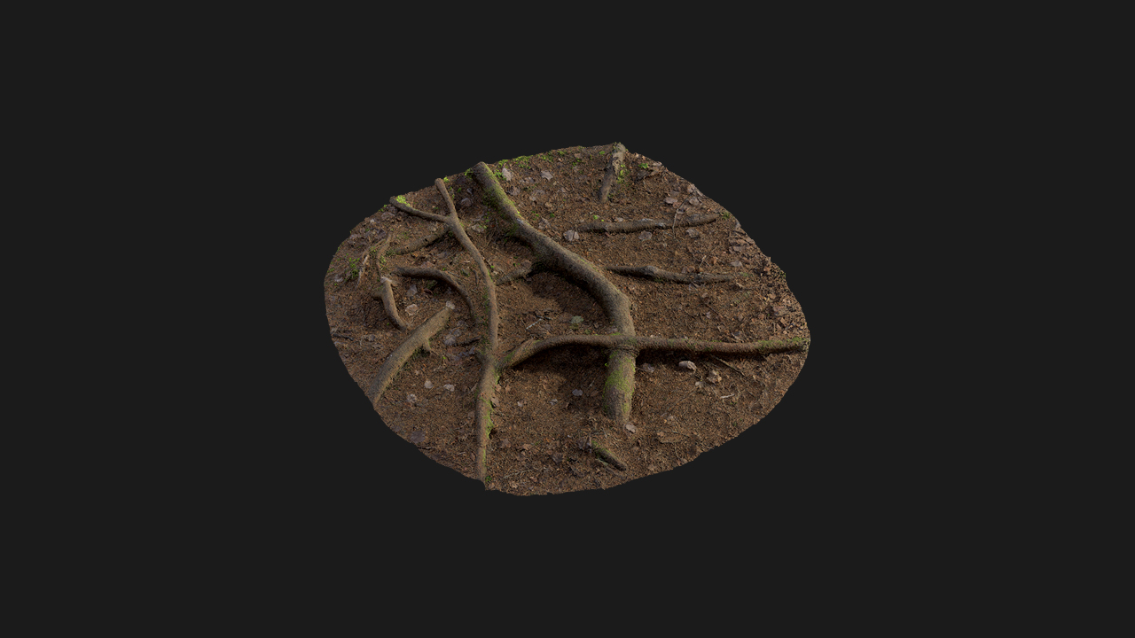 扫描资产_植物碎块080