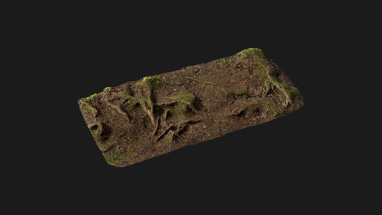 扫描资产_植物碎块081