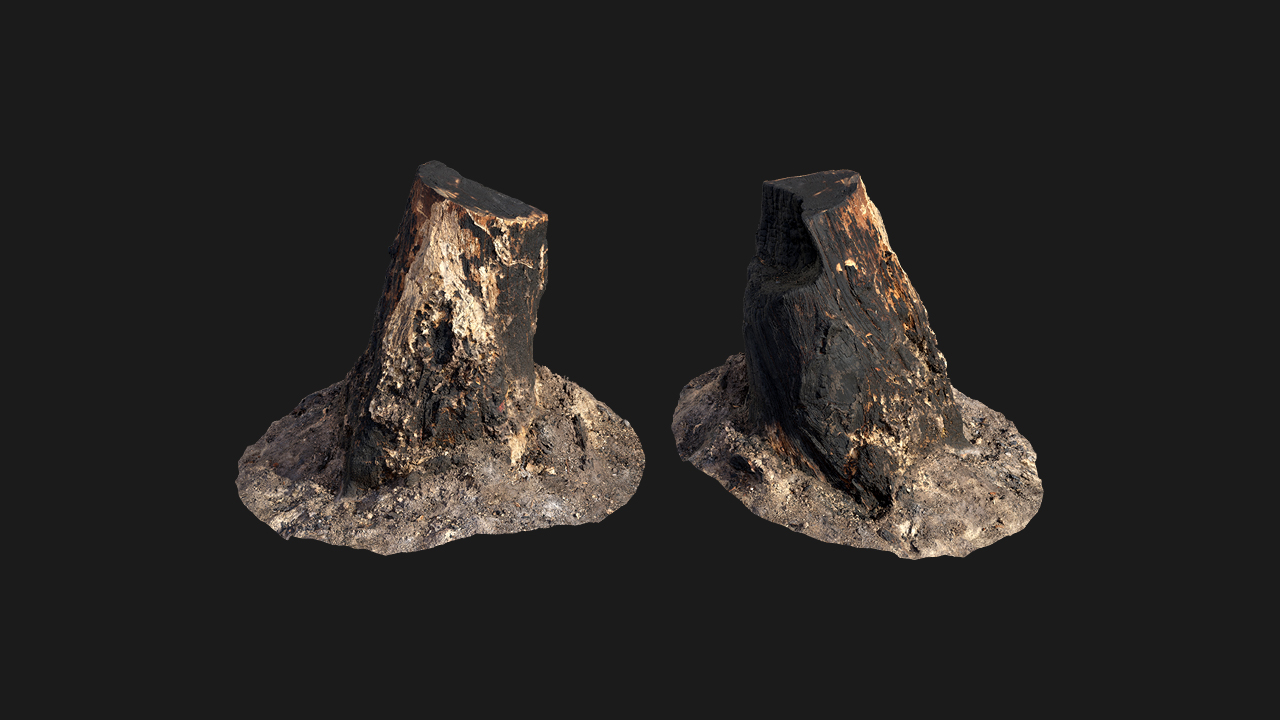 扫描资产_植物碎块082