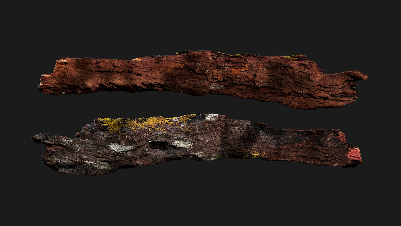 扫描资产_植物碎块124