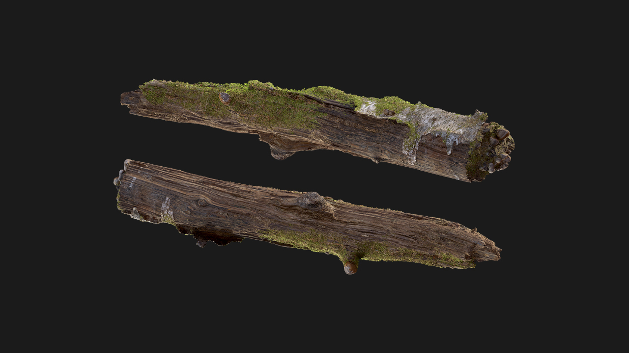 扫描资产_植物碎块138