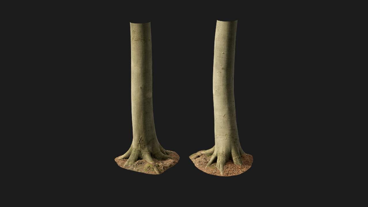 扫描资产_树干058