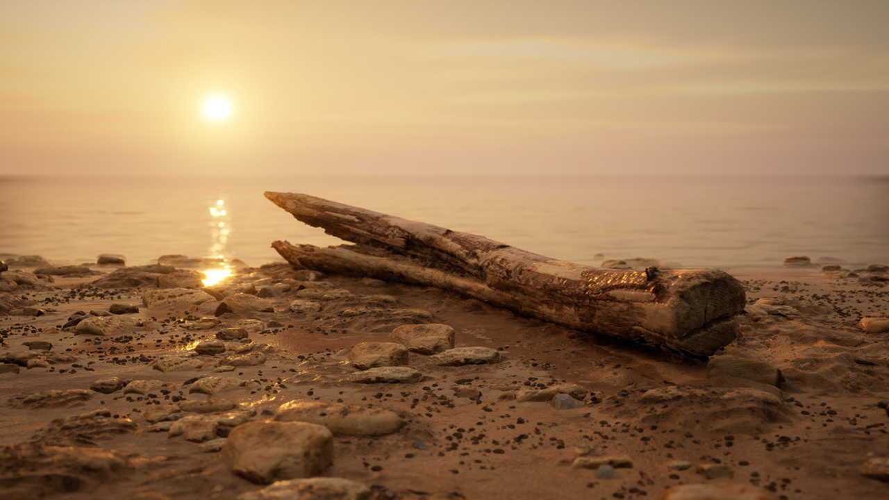 Brushify – Beach Pack刷子沙滩包