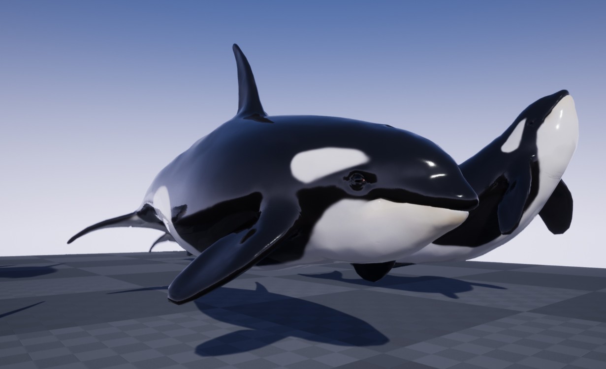 OCEAN ANIMALS PACK VOL 1 海洋生物 鲸鱼的模型资产包