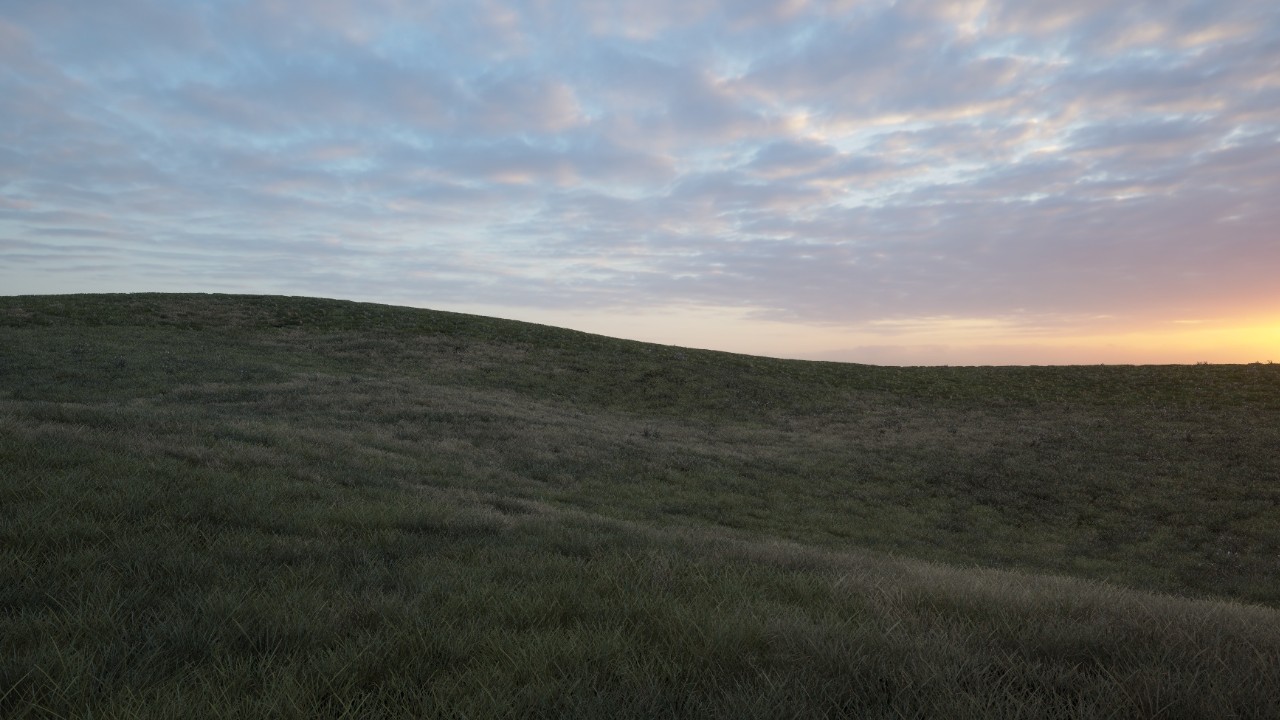 Grass Material – Premium 一个草原场景