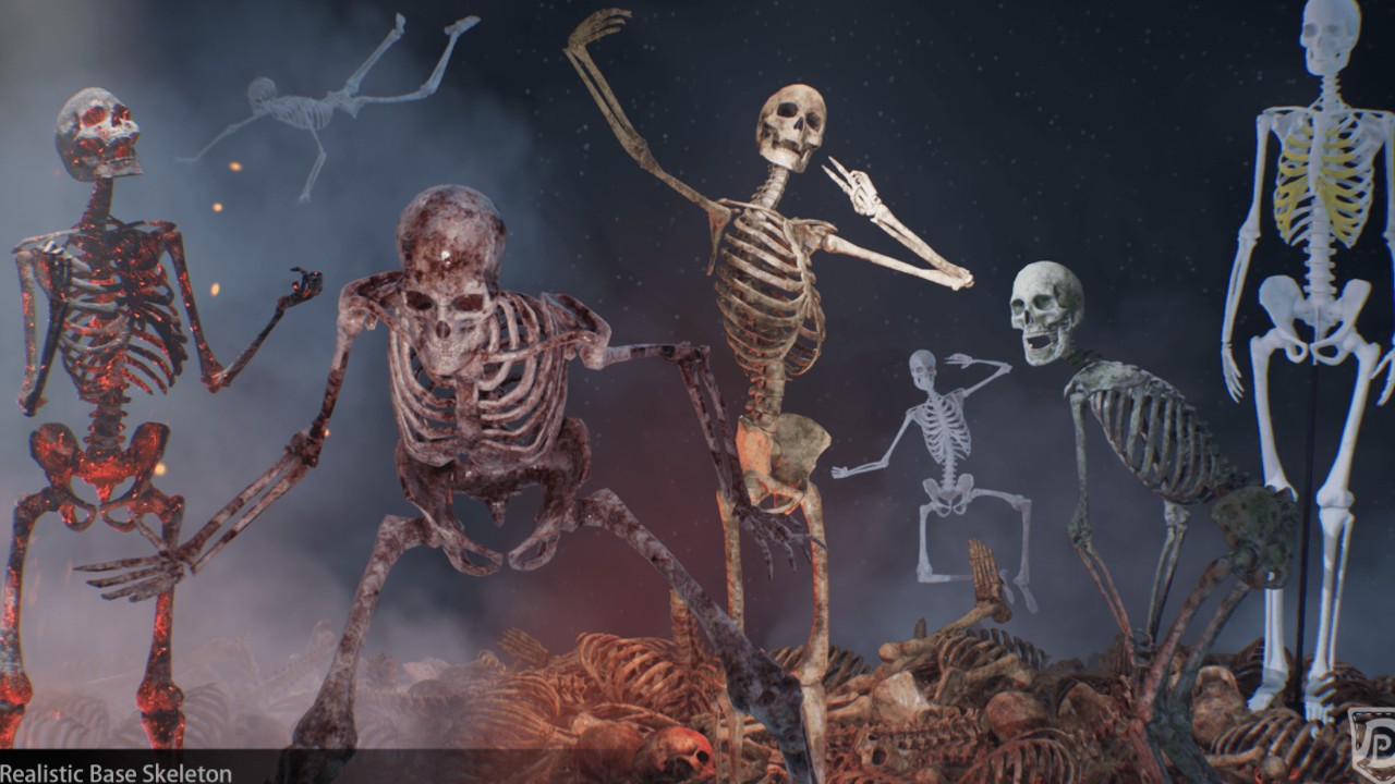 Realistic Base Skeleton逼真的基础骨架