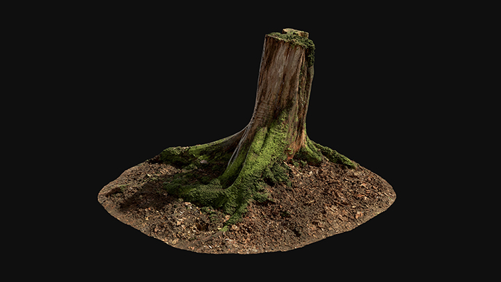 扫描资产_青苔树桩016