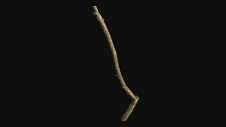 扫描资产_树枝005