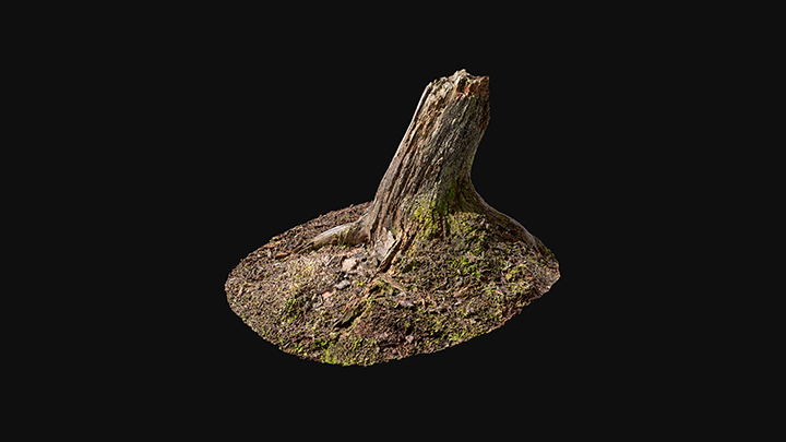 扫描资产_树桩008