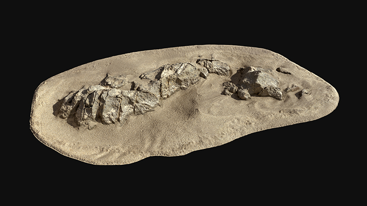 扫描资产_海岸岩石029