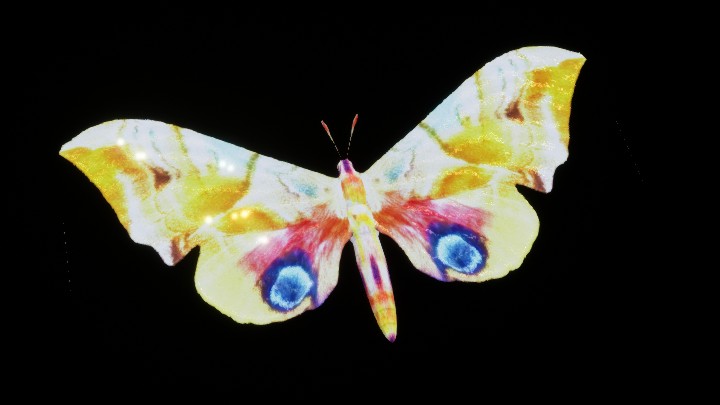 模型资源_蝴蝶005