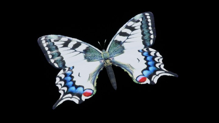 模型资源_蝴蝶002