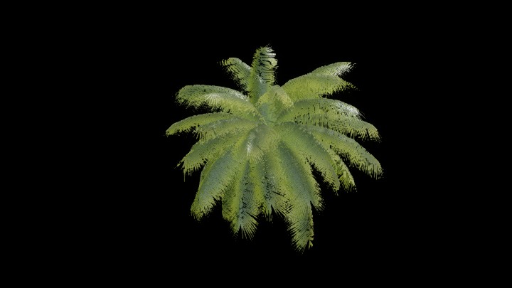 模型资源_植物009