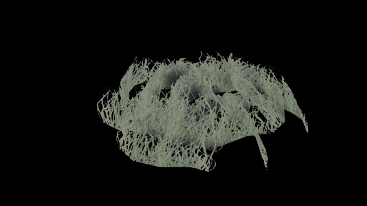 UE项目资源_草020