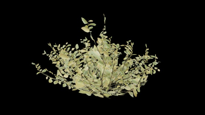 UE项目资源_草024