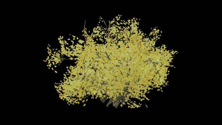 UE项目资源_草026