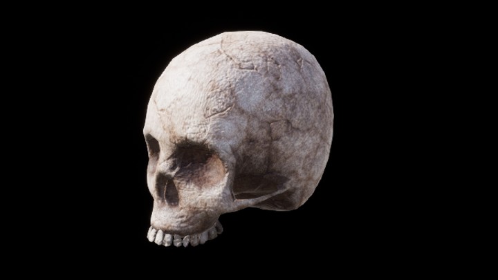 UE项目资源_骨头005