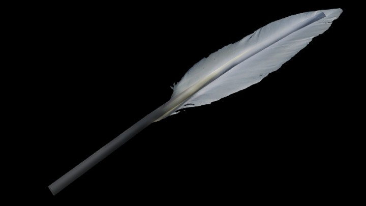 UE项目资源_羽毛001