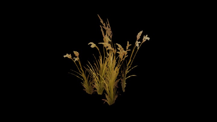 UE项目资源_草017