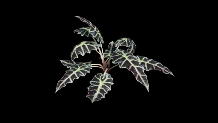 UE项目资源_草033