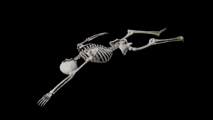 UE项目资源_骷髅骨004