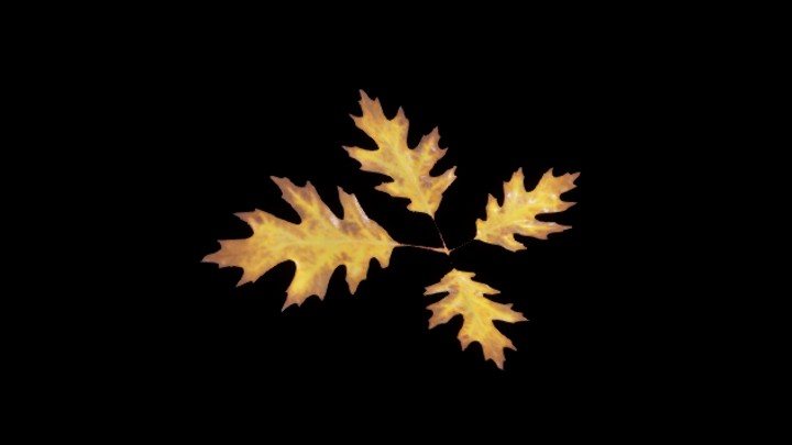 UE项目资源_植物031