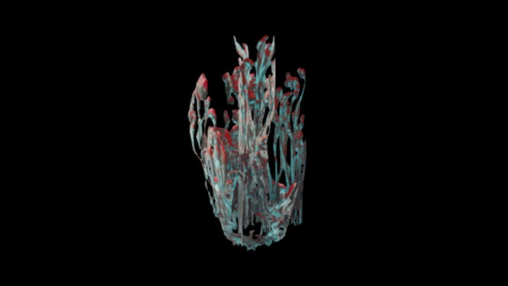 UE项目资源_植物027