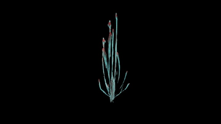 UE项目资源_植物020