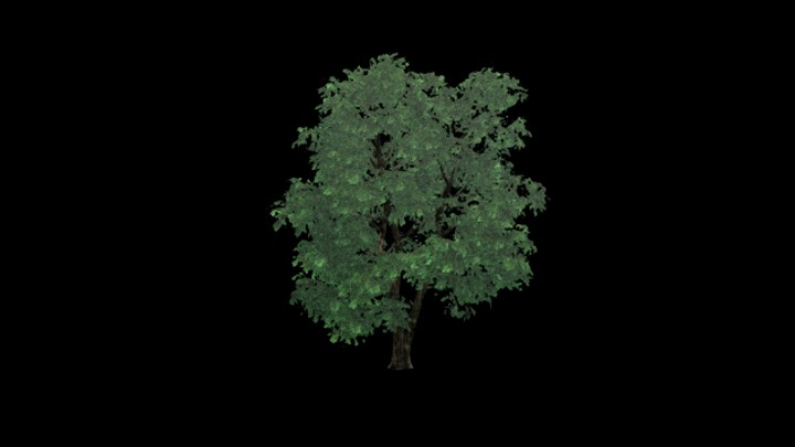 UE项目资源_树046