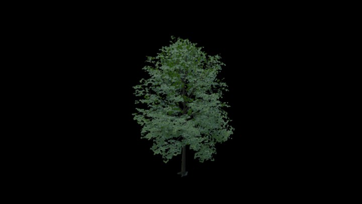 UE项目资源_树037