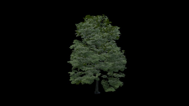 UE项目资源_树029