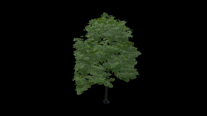 UE项目资源_树028