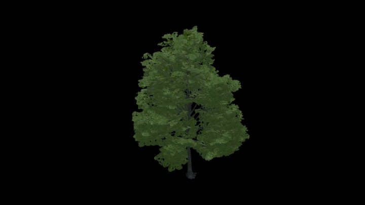 UE项目资源_树027