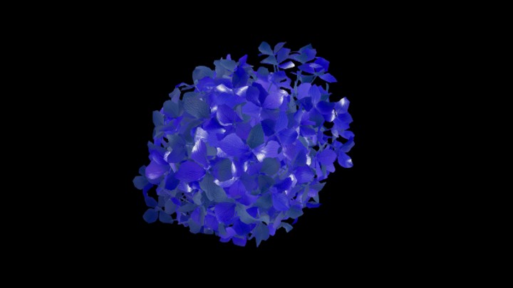 UE项目资源_草047