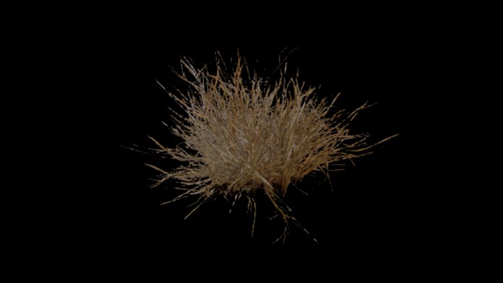 UE项目资源_草072