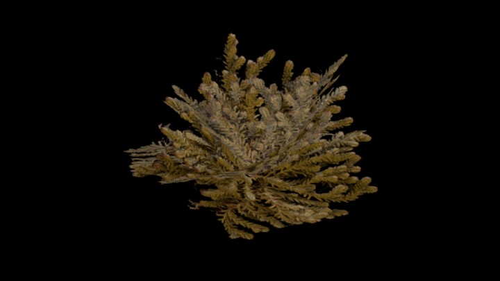 UE项目资源_草073