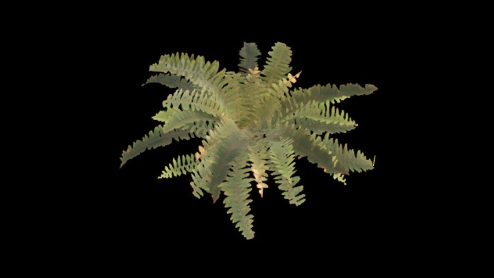 UE项目资源_植物054