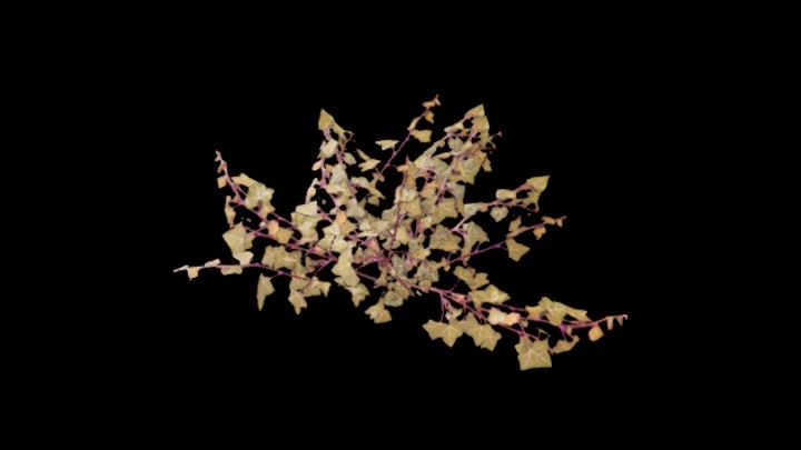 UE项目资源_植物041