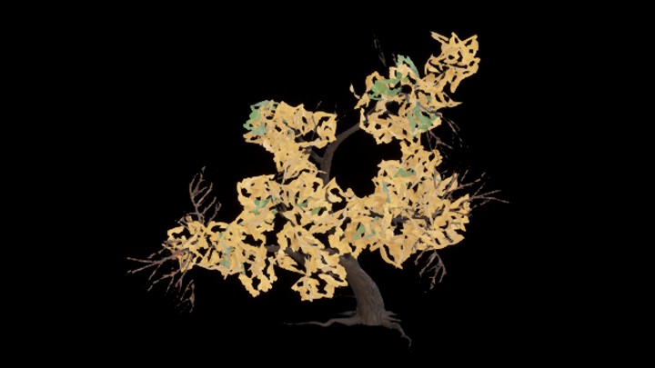 UE项目资源_树木025