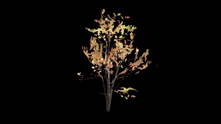 UE项目资源_树木007