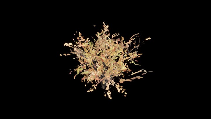 UE项目资源_树木006