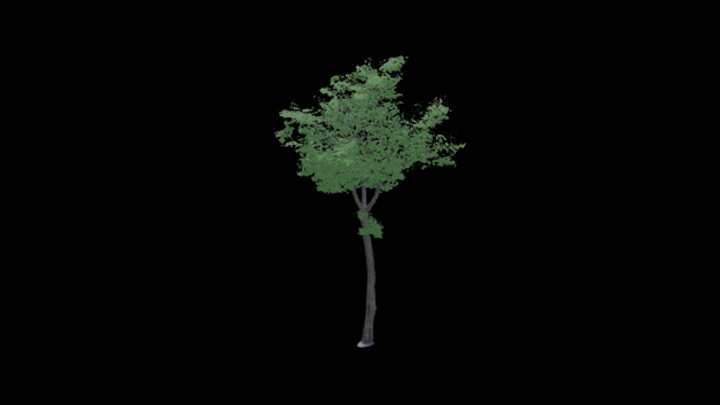 UE项目资源_树079